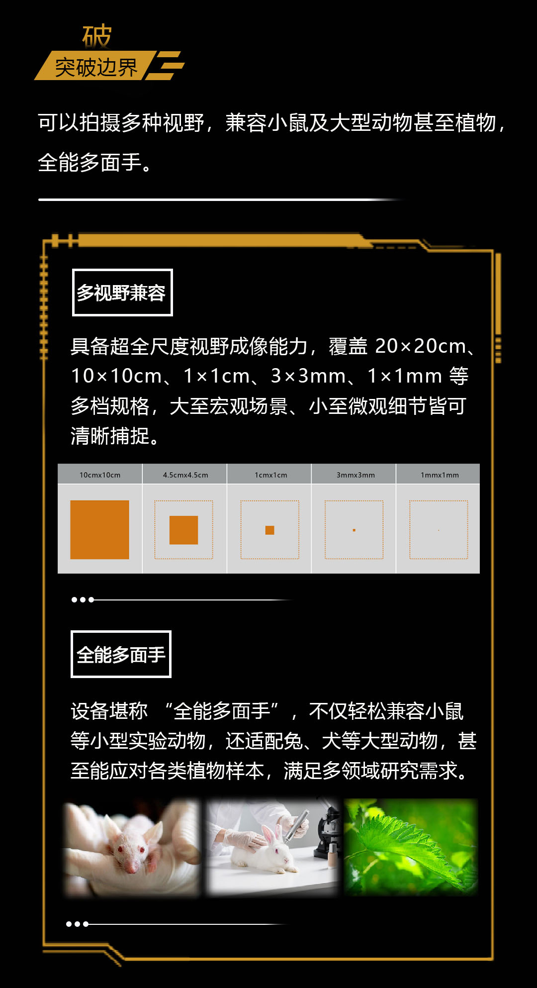 长图_04.jpg